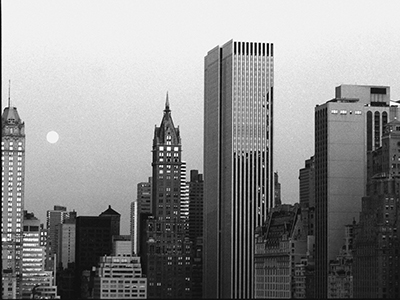 
  NYC Skyline (WTC)
  